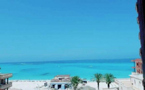 مستر مدحت